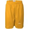 Men's Pro Mesh 9" Shorts Thumbnail